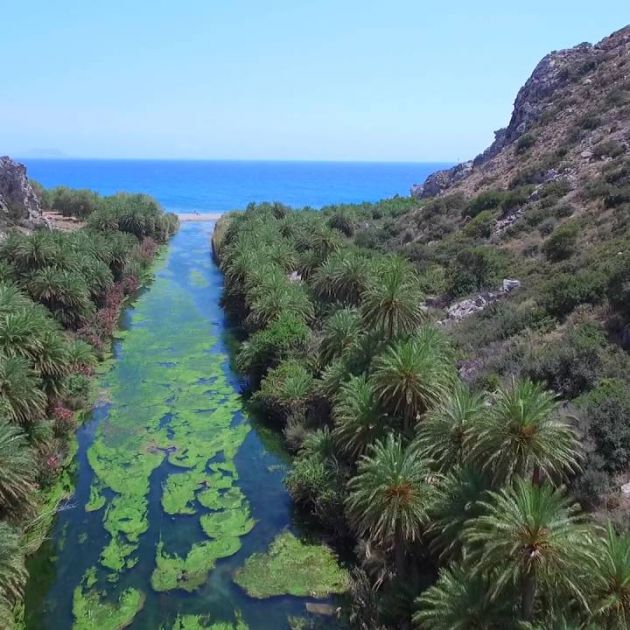 Palmenstrand von Preveli